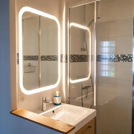 Apartamento Vieux : Magnifique Avec Jardin Tours