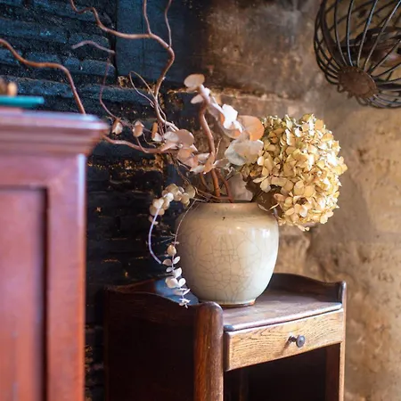 Apartamento Vieux : Magnifique Avec Jardin